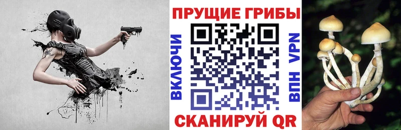 Псилоцибиновые грибы мухоморы  площадка состав  Сафоново 