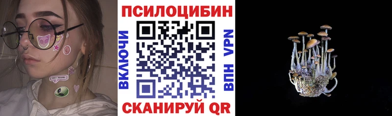 Псилоцибиновые грибы Cubensis Сафоново